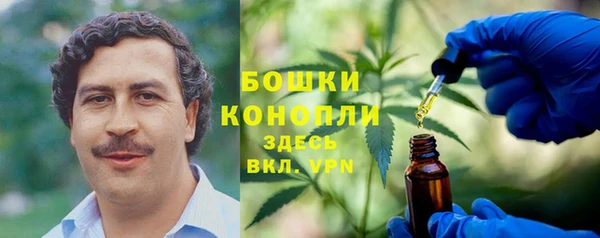 бошки Богородицк
