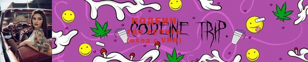 PSILOCYBIN Богданович