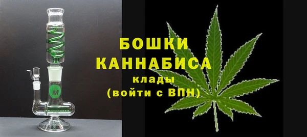 PSILOCYBIN Богданович