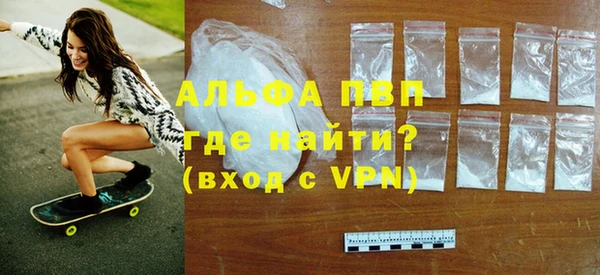 PSILOCYBIN Богданович