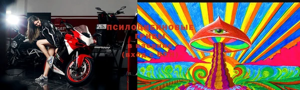 бошки Богородицк