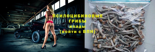 бошки Богородицк